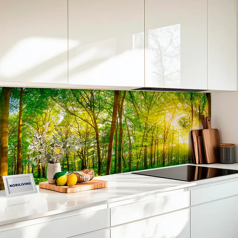 Küchenrückwand Alu Wald mit Sonnenschein 123