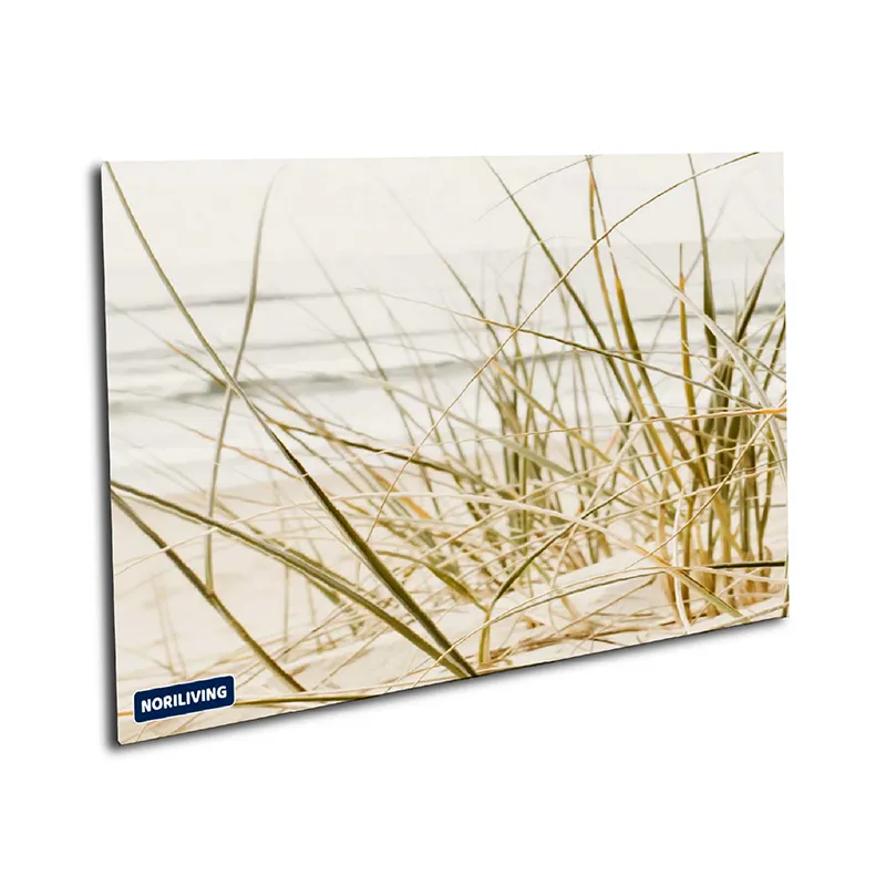 Muster Küchenrückwand Dünen Gras Strand 543