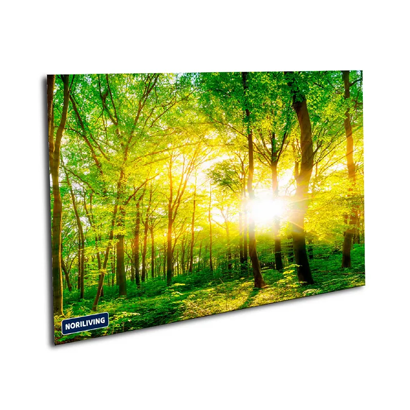 Muster Küchenrückwand Wald mit Sonnenschein 123